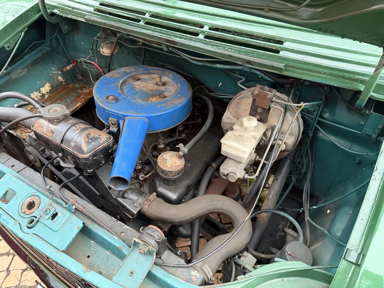 IMG_9952 – grande.jpeg