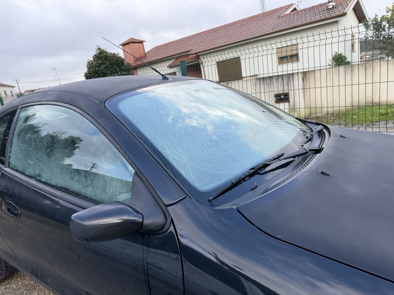 IMG_5325 – grande.jpeg