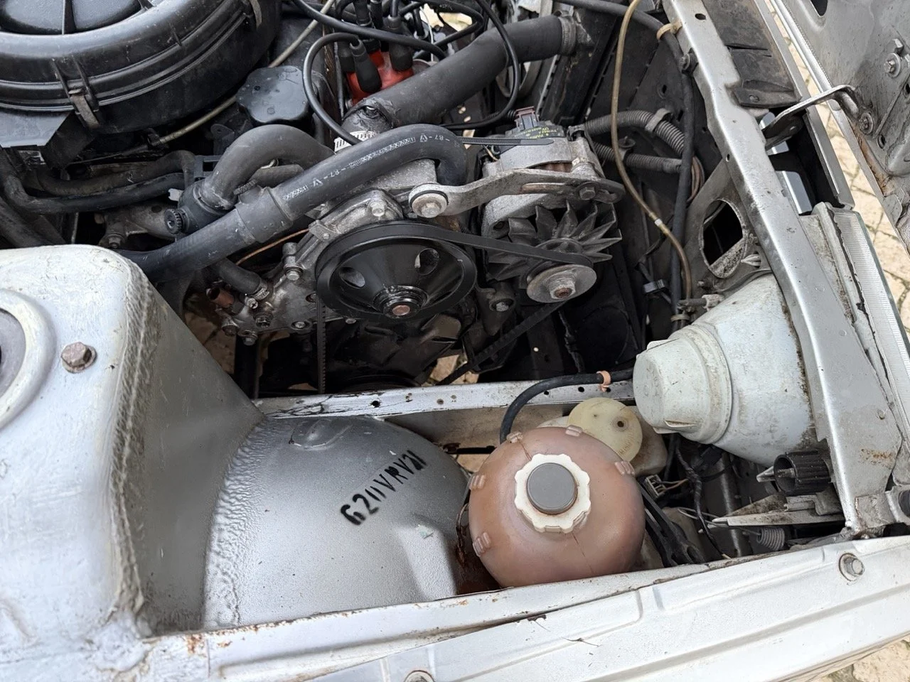 IMG_4734 3 – grande.jpeg