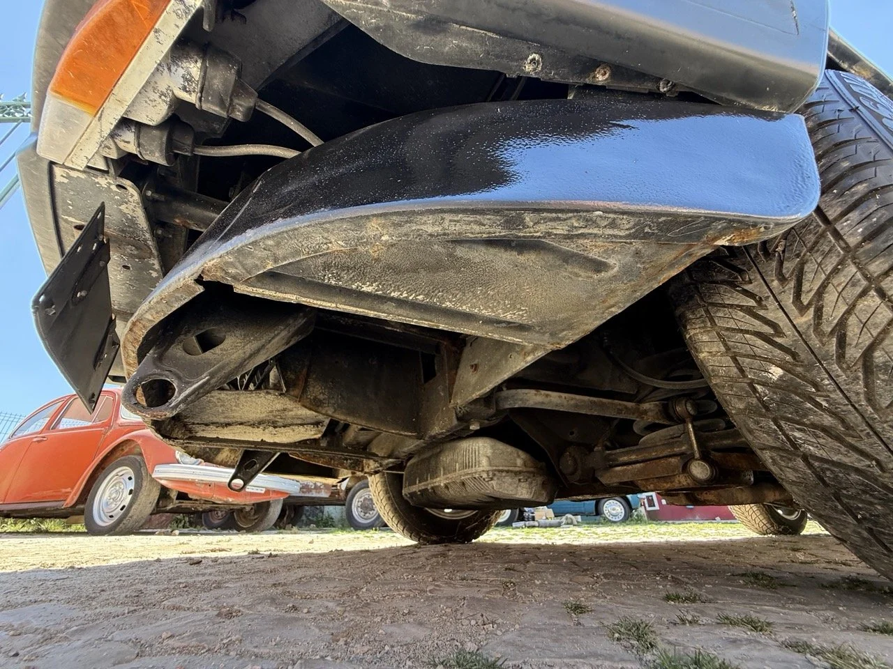 IMG_2246 – grande.jpeg