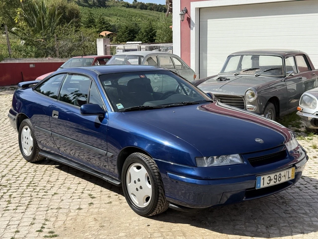 IMG_2385 – grande.jpeg