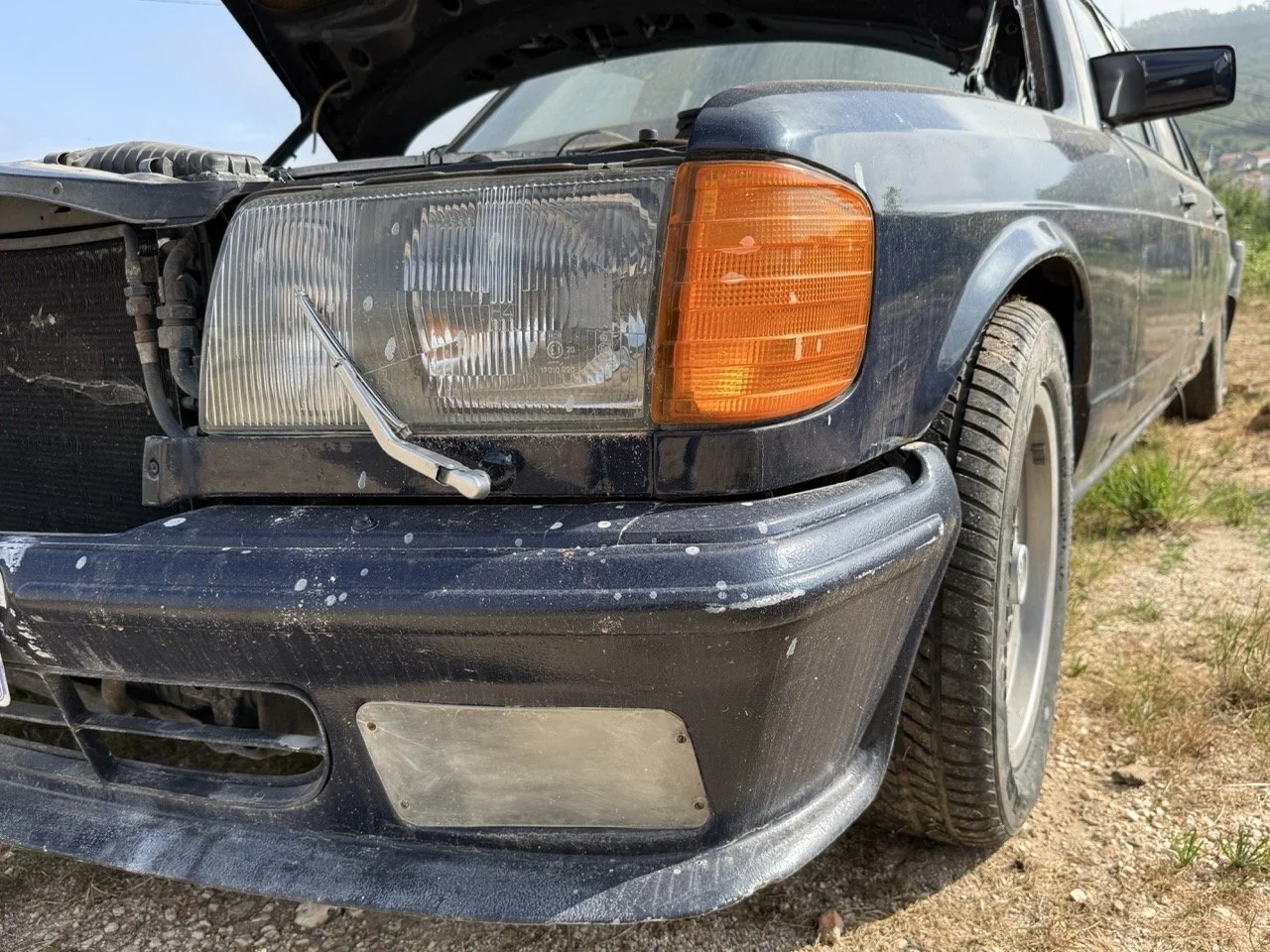 IMG_3423 – grande.jpeg