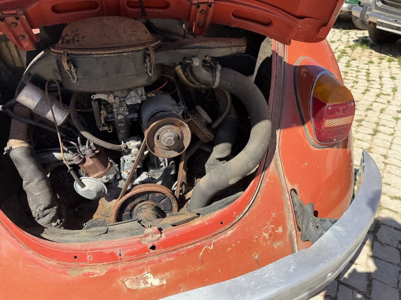 IMG_7557 – grande.jpeg