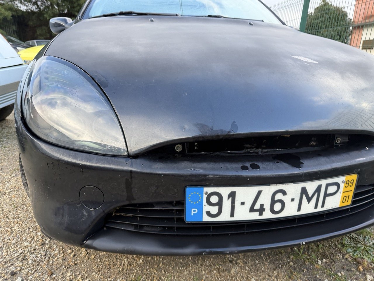 IMG_5322 – grande.jpeg