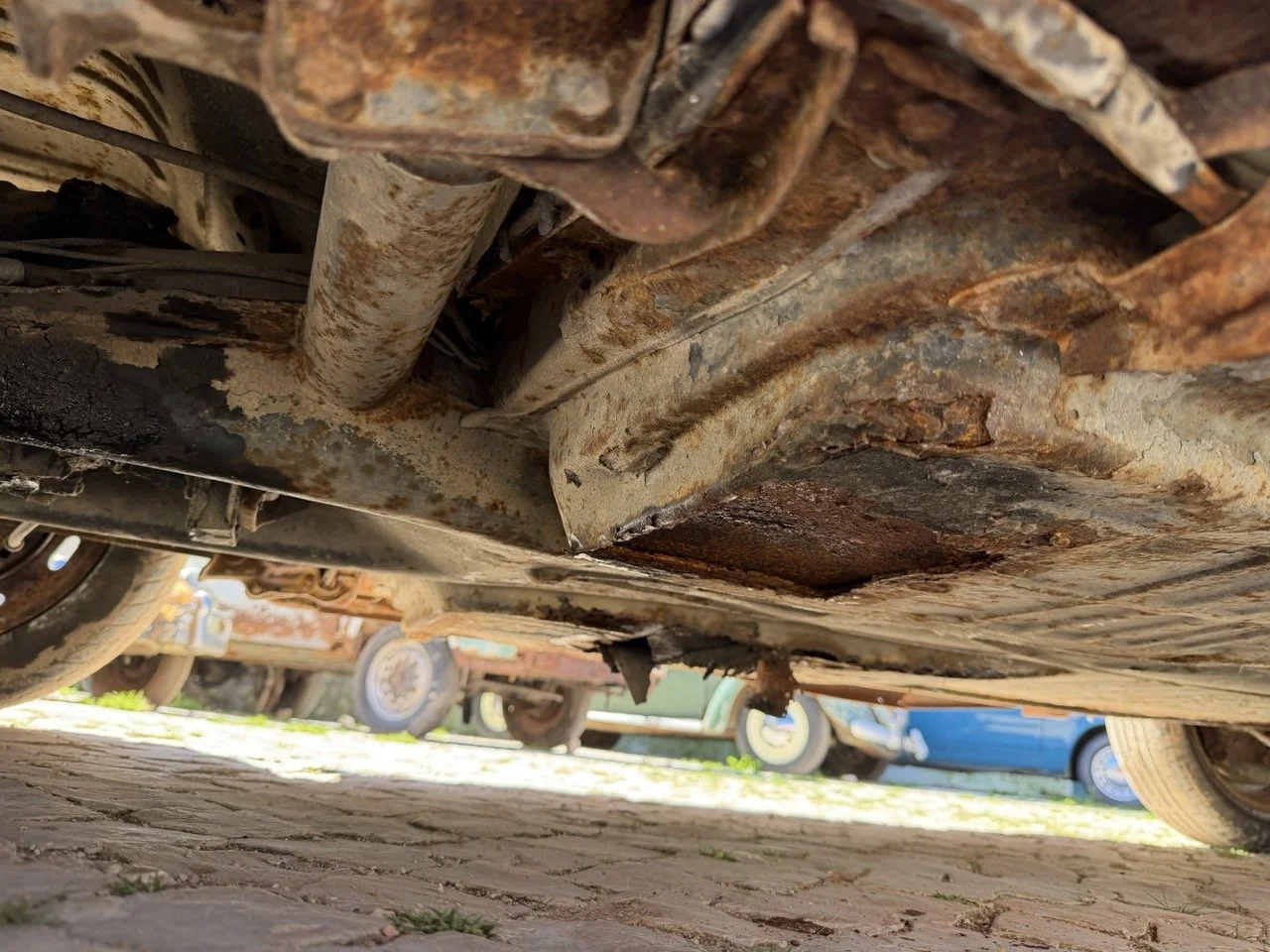 IMG_7601 – grande.jpeg