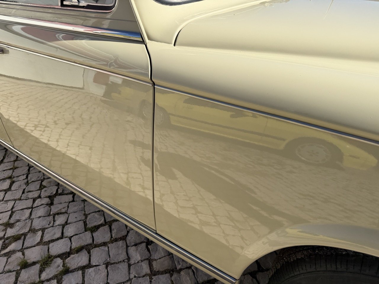 IMG_6740 – grande.jpeg