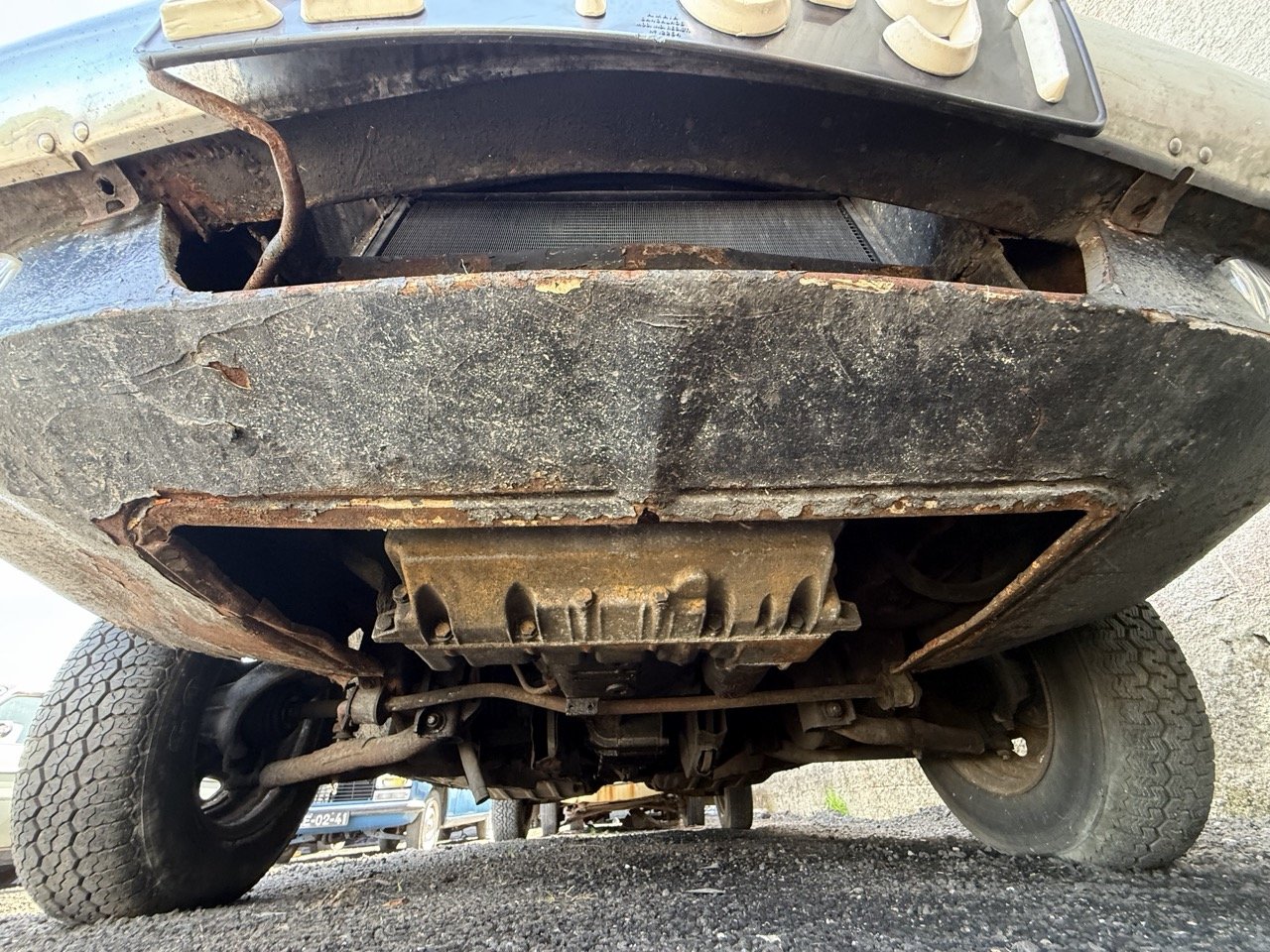 IMG_0630 – grande.jpeg