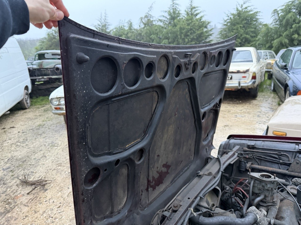 IMG_0306 – grande.jpeg