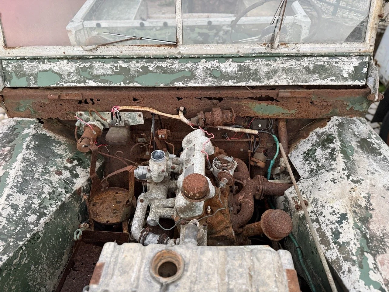 IMG_7436 – grande.jpeg