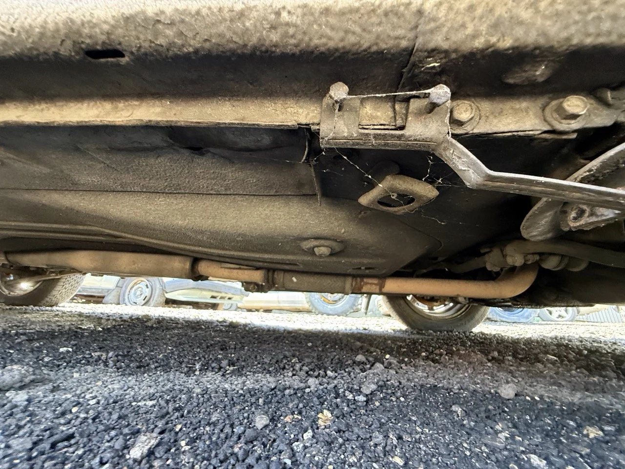 IMG_1961 – grande.jpeg