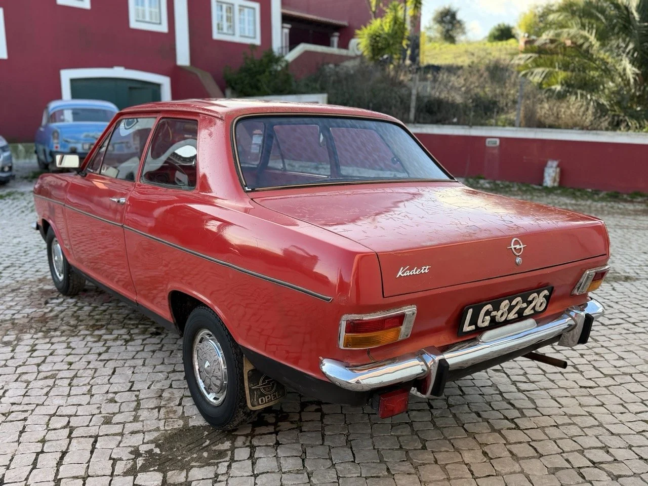 IMG_7687 – grande.jpeg