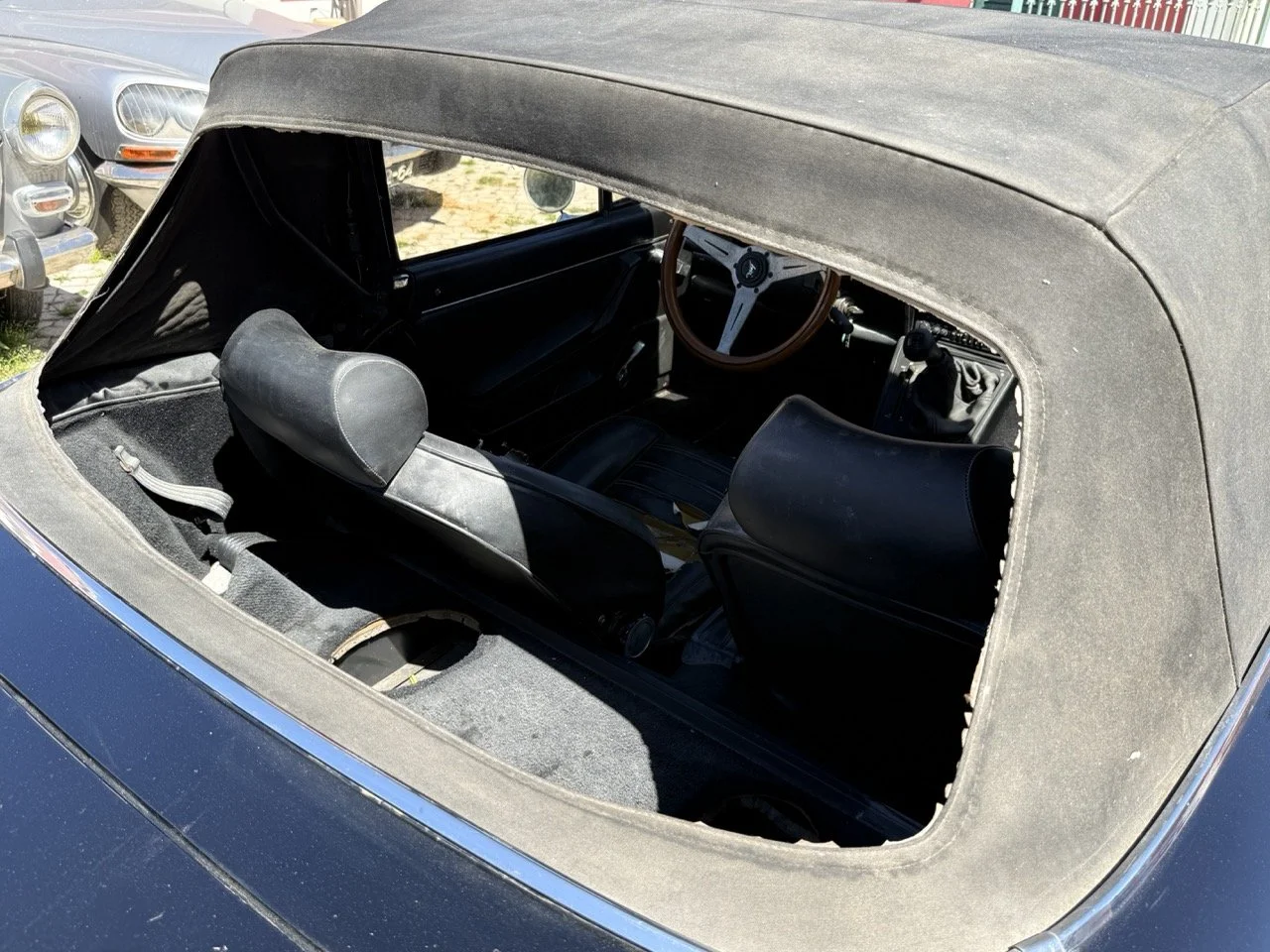 IMG_2206 – grande.jpeg