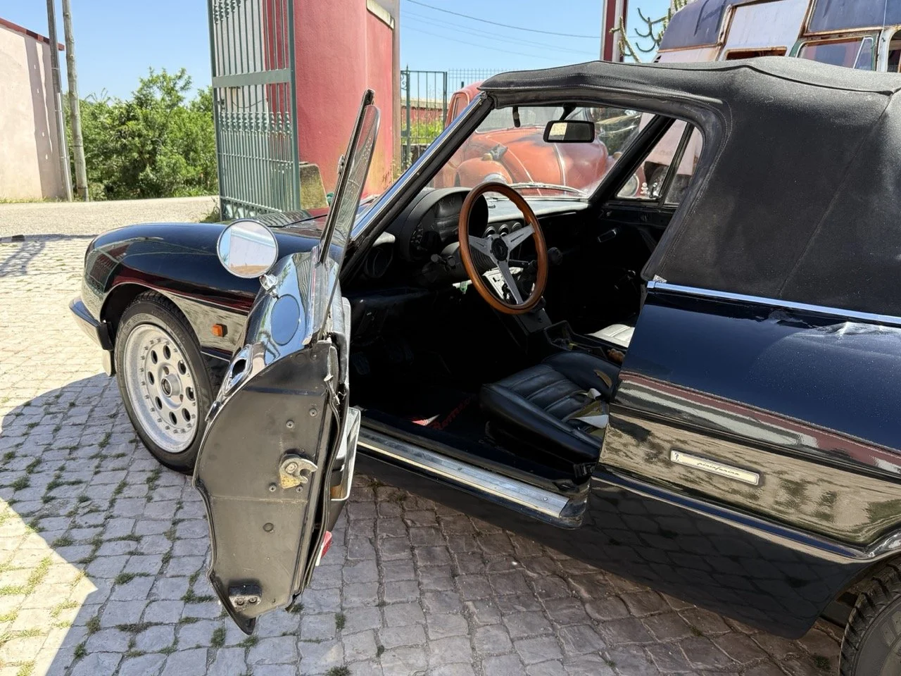 IMG_2165 – grande.jpeg