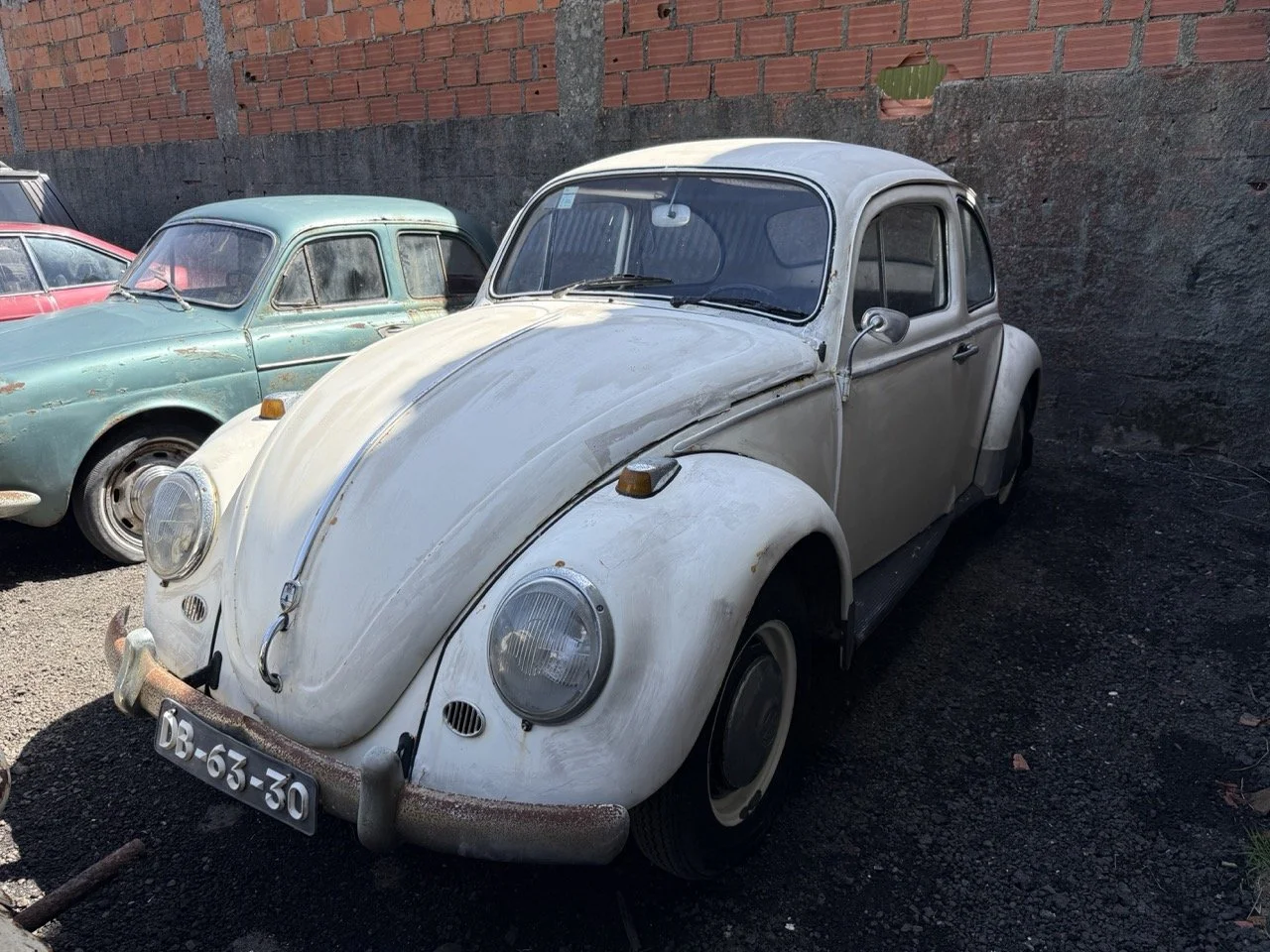 IMG_0669 – grande.jpeg