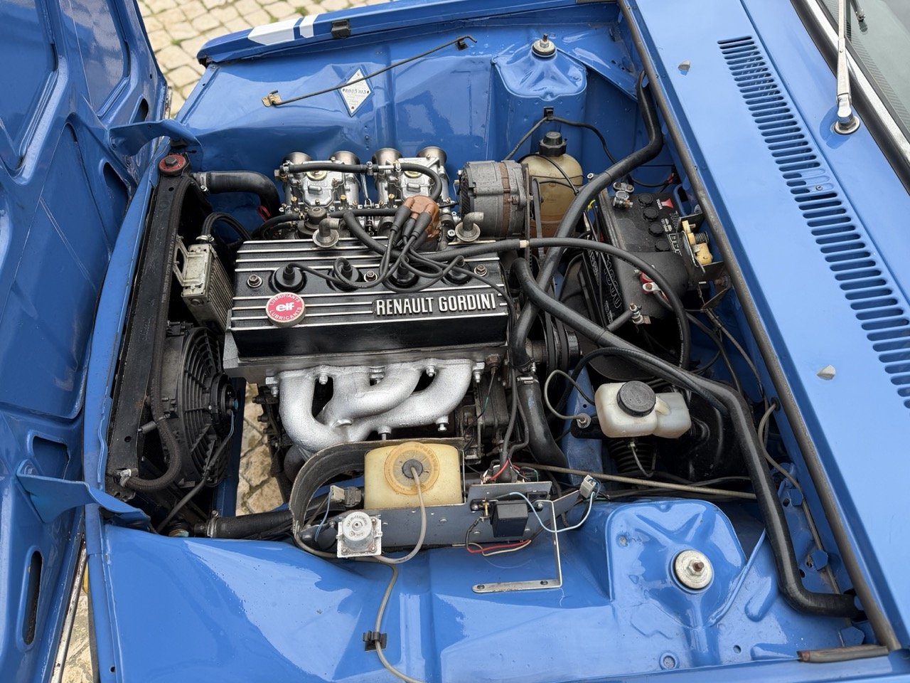 IMG_5999 – grande.jpeg