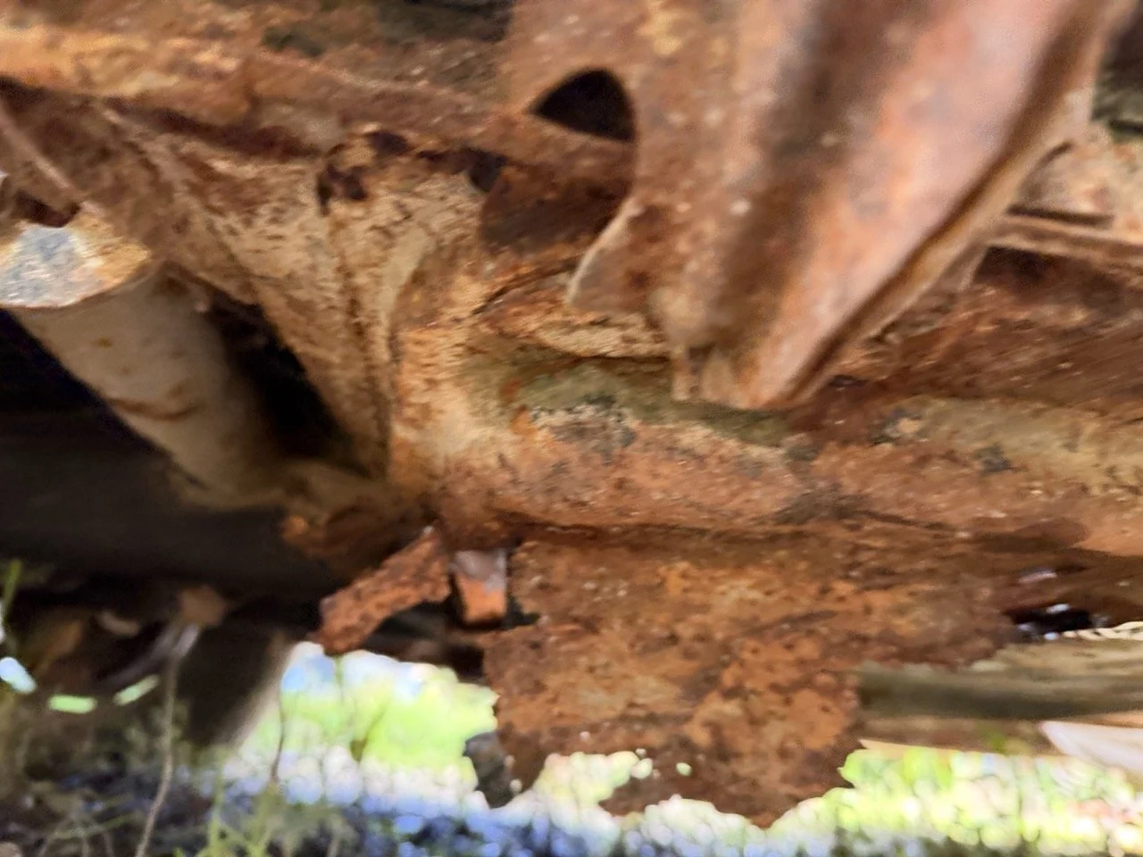 IMG_8582 – grande.jpeg