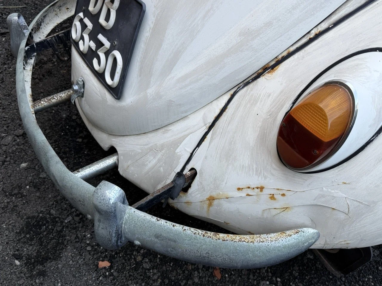 IMG_0700 – grande.jpeg