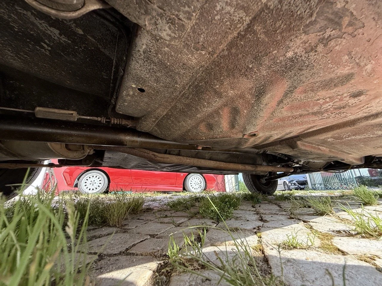 IMG_3668 – grande.jpeg