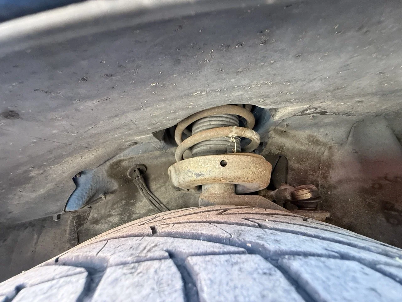 IMG_2495 – grande.jpeg