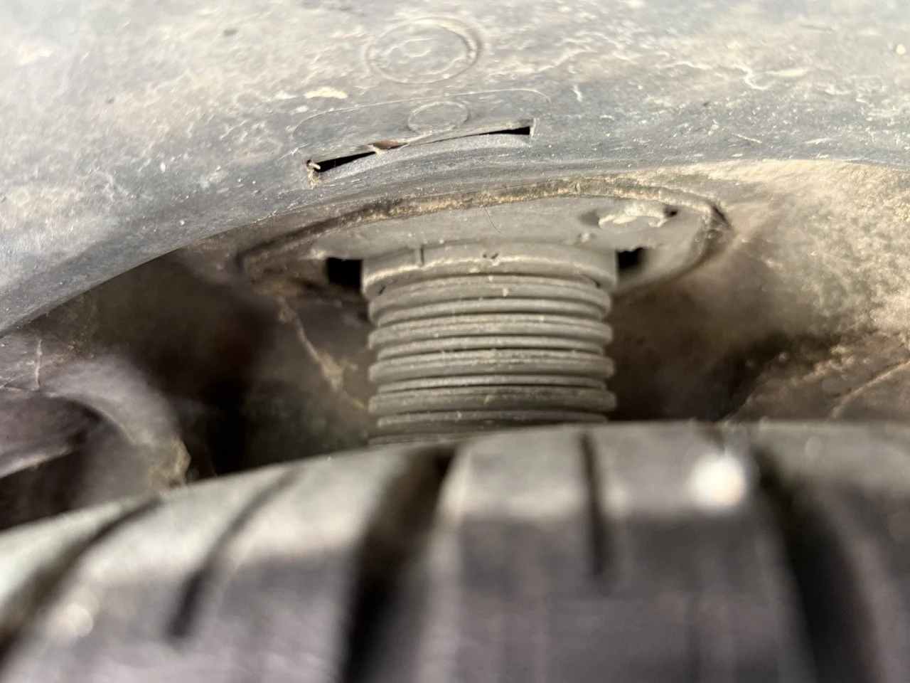 IMG_2639 – grande.jpeg