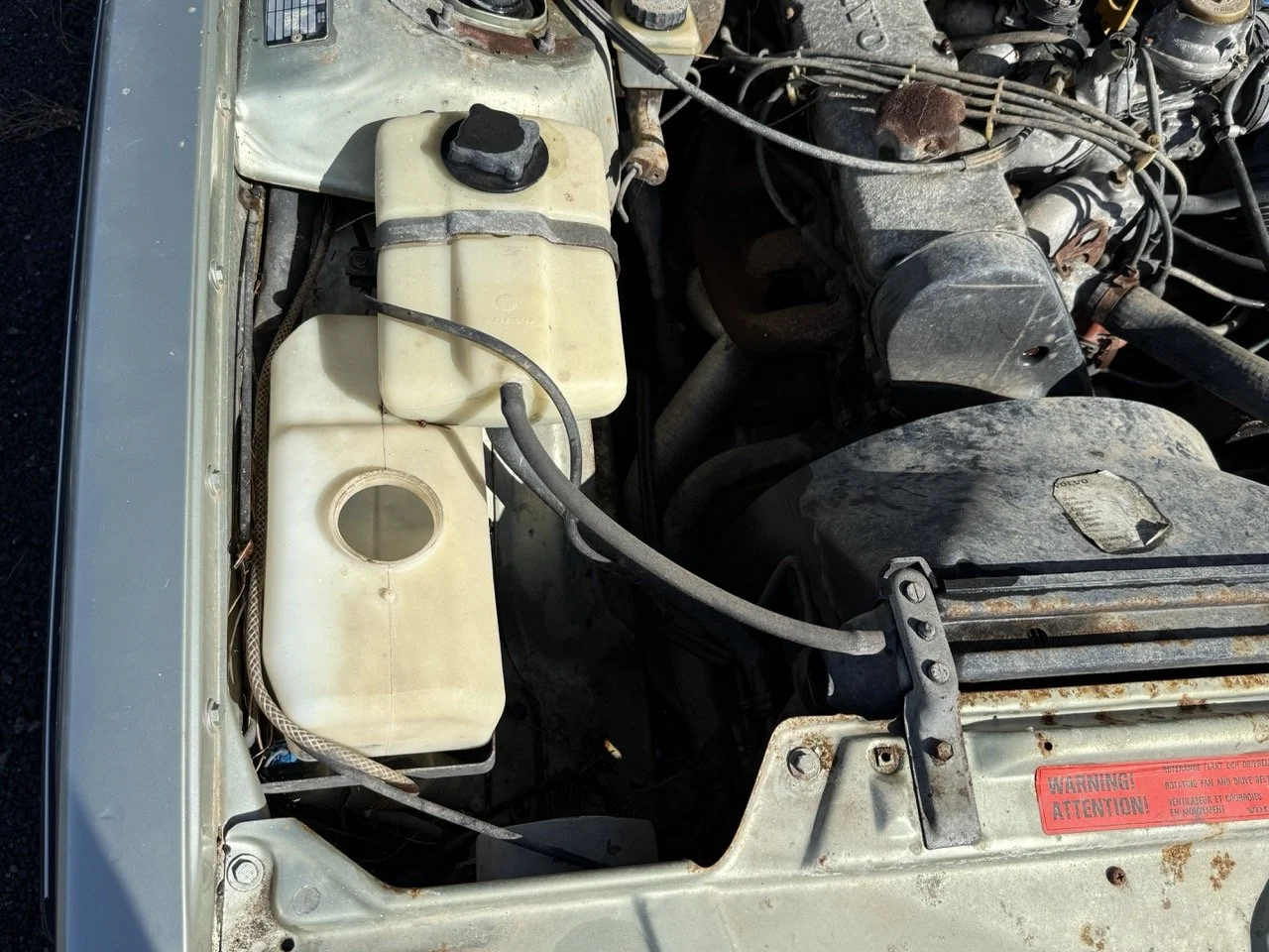 IMG_1164 – grande.jpeg