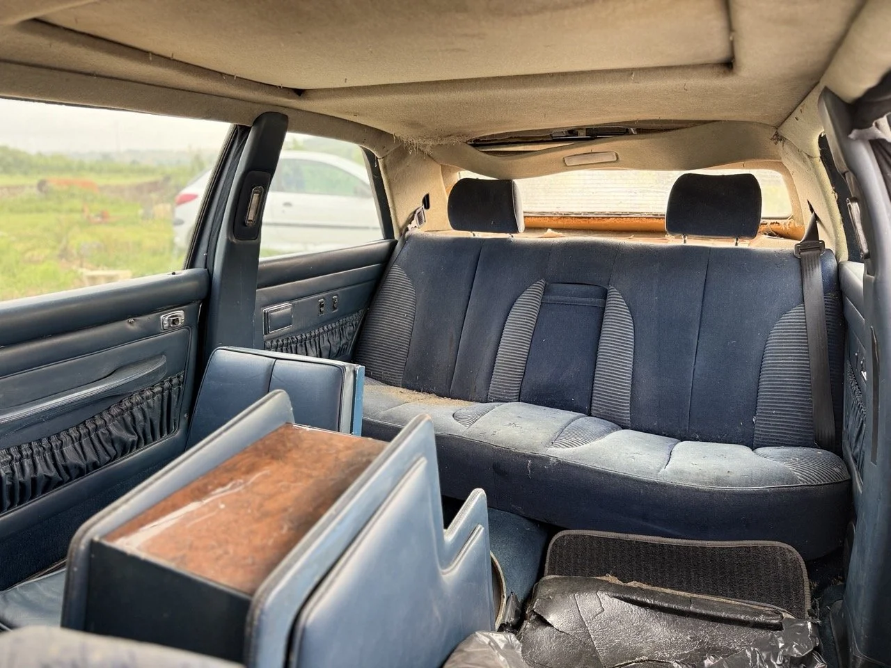 IMG_3360 – grande.jpeg