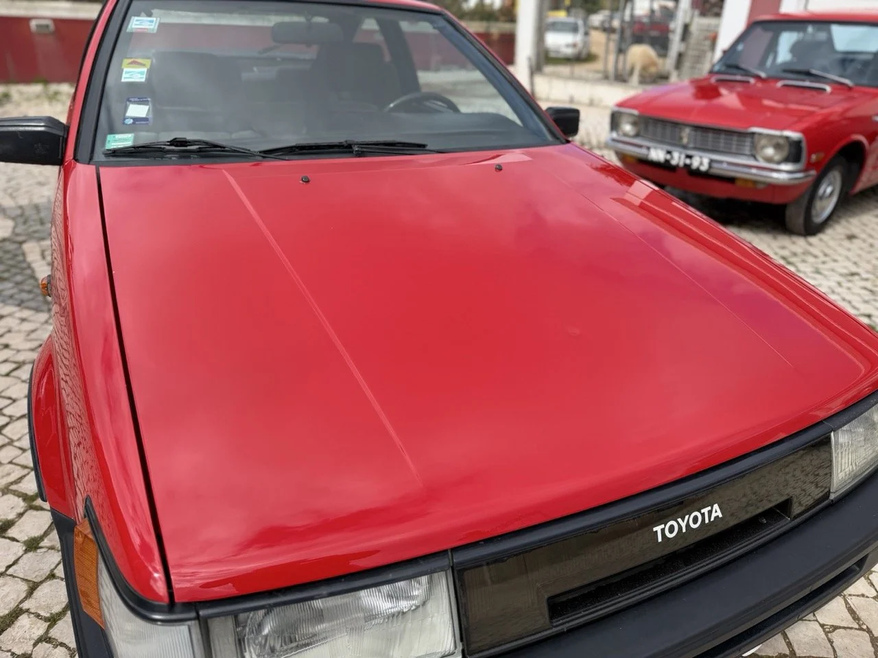 IMG_2382 – grande.jpeg