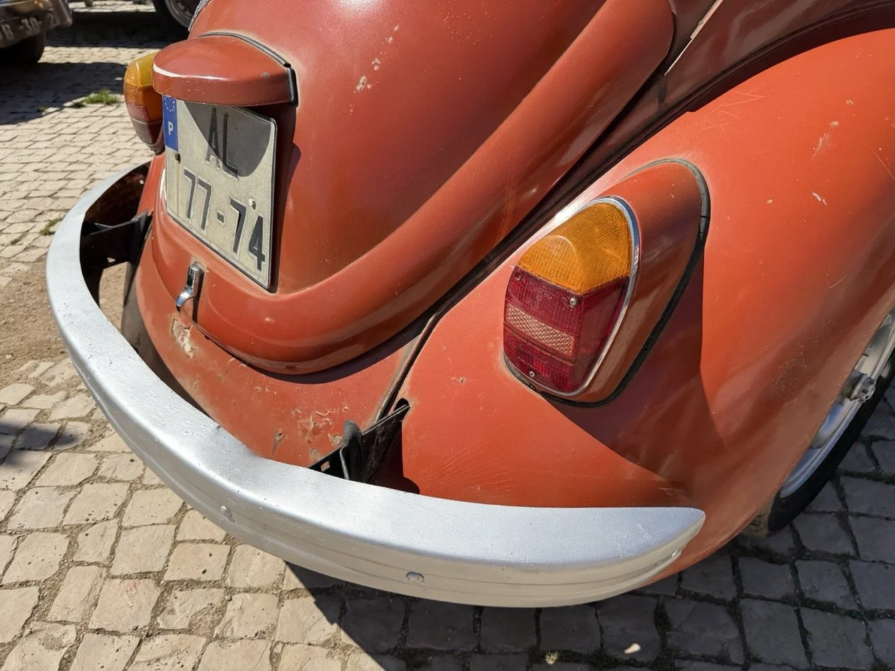 IMG_7586 – grande.jpeg