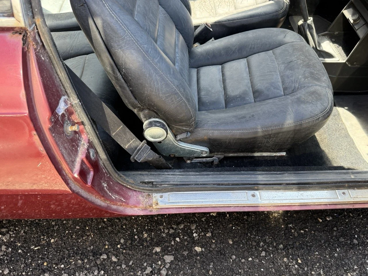 IMG_0944 – grande.jpeg