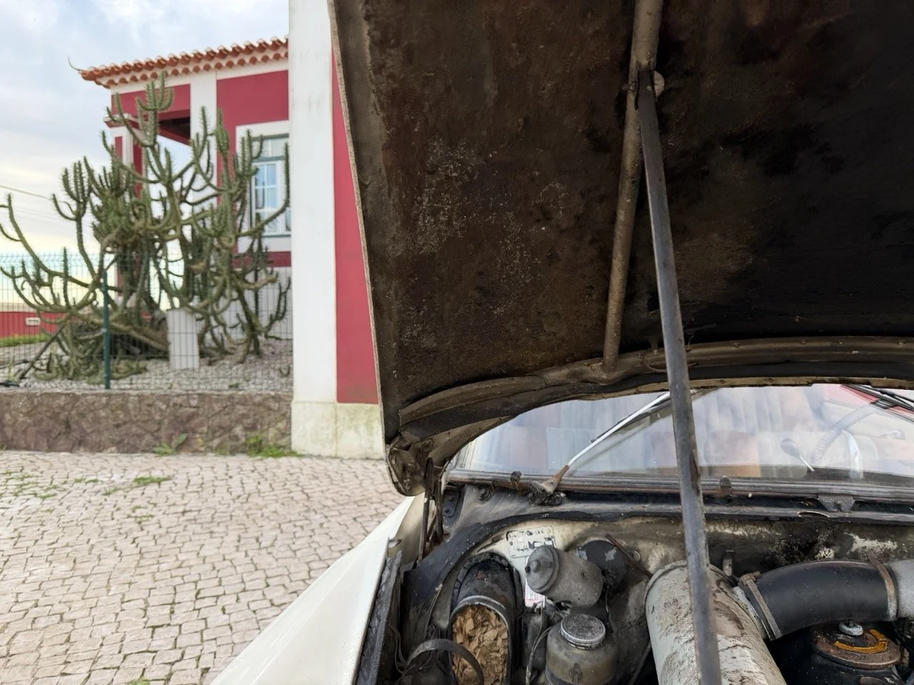 IMG_5977 2 – grande.jpeg