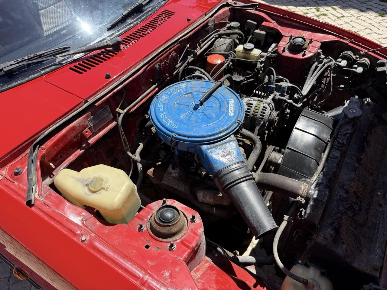 IMG_2044 – grande.jpeg