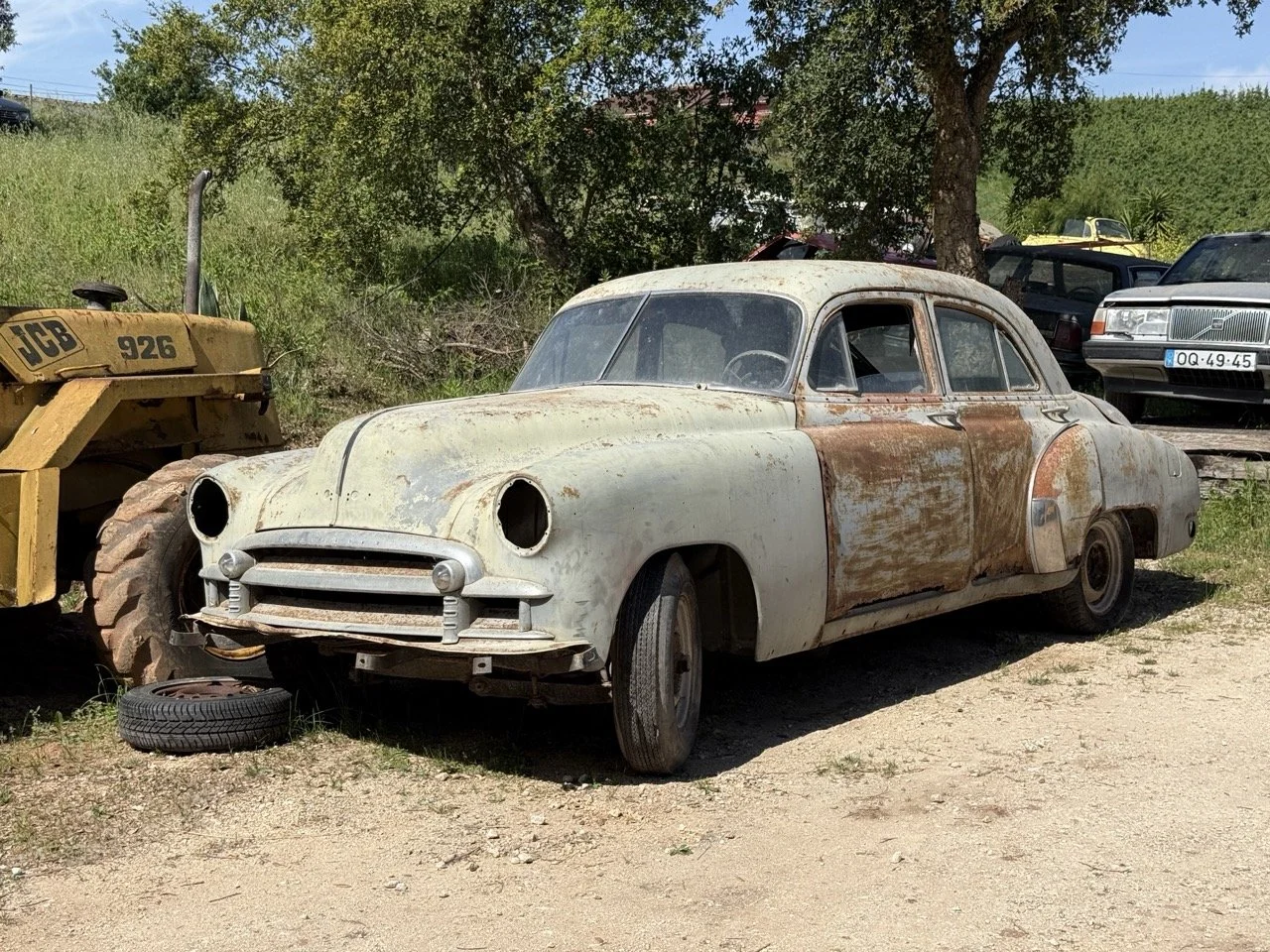 IMG_3239 – grande.jpeg