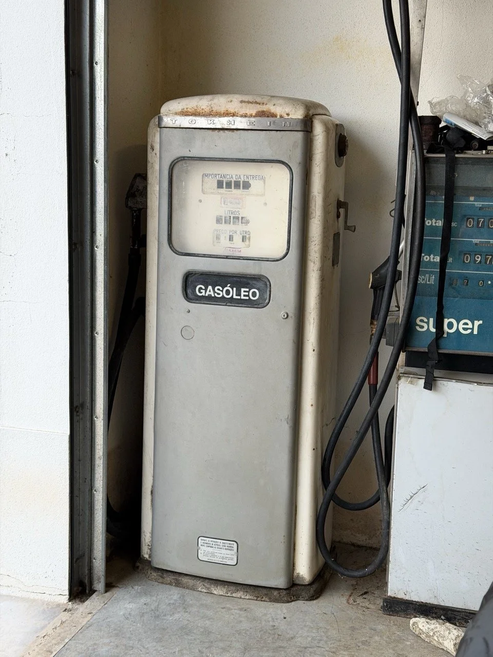 IMG_8942 – grande.jpeg