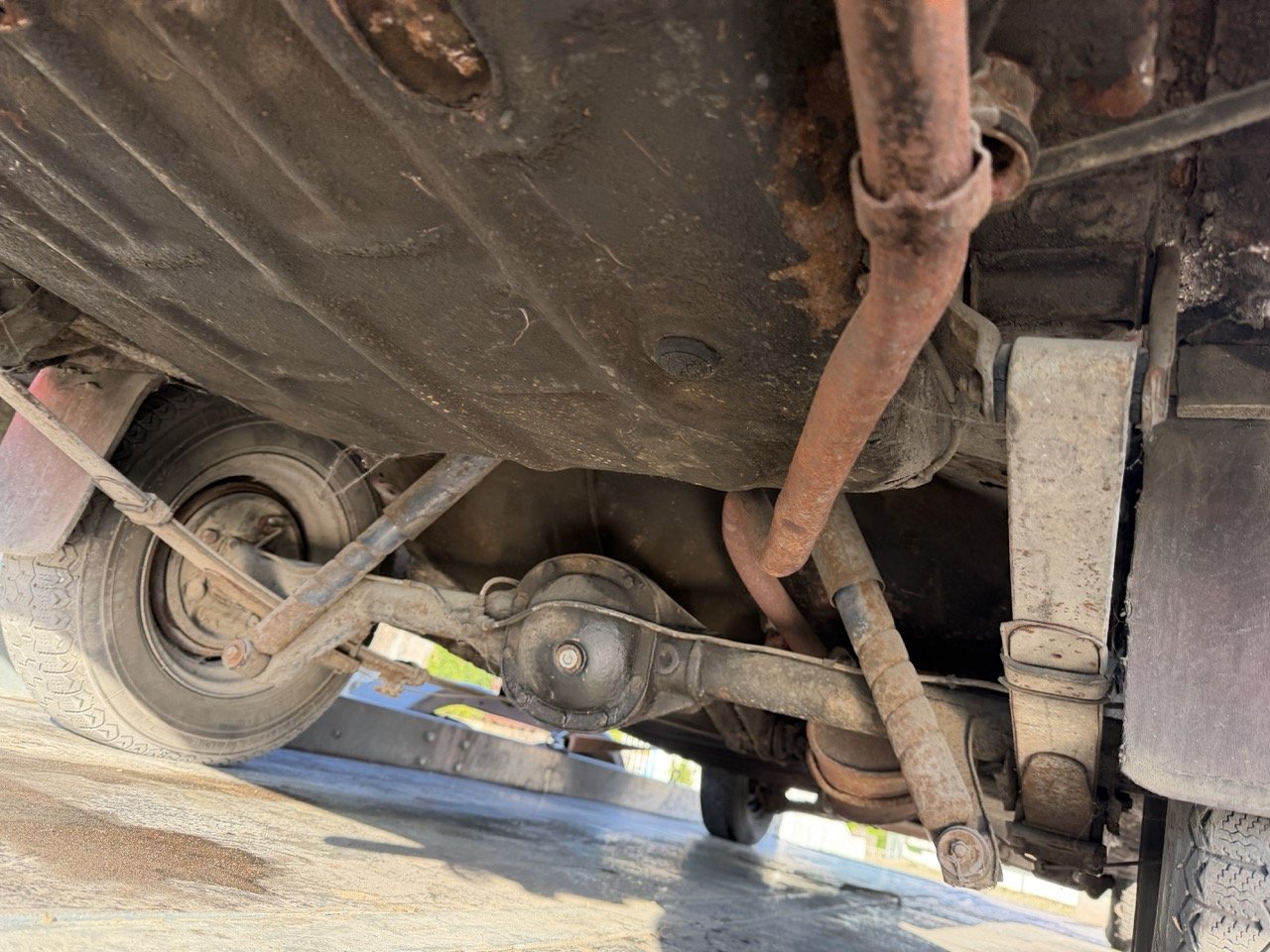 IMG_9070 – grande.jpeg