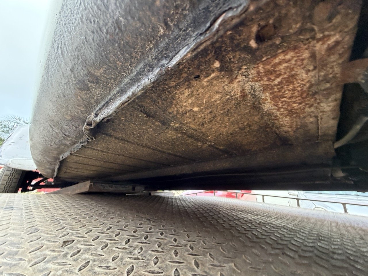 IMG_1907 – grande.jpeg