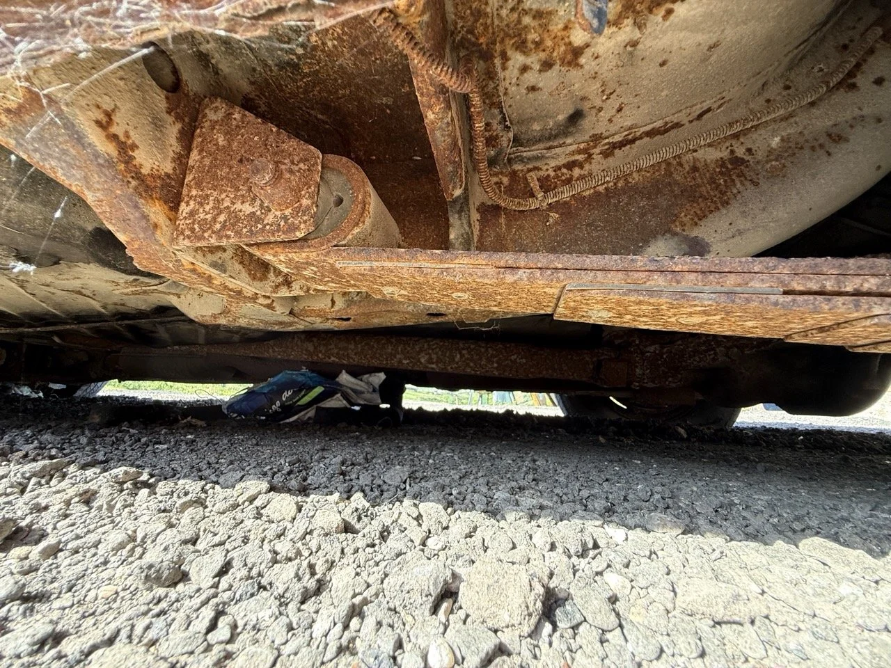 IMG_3052 – grande.jpeg