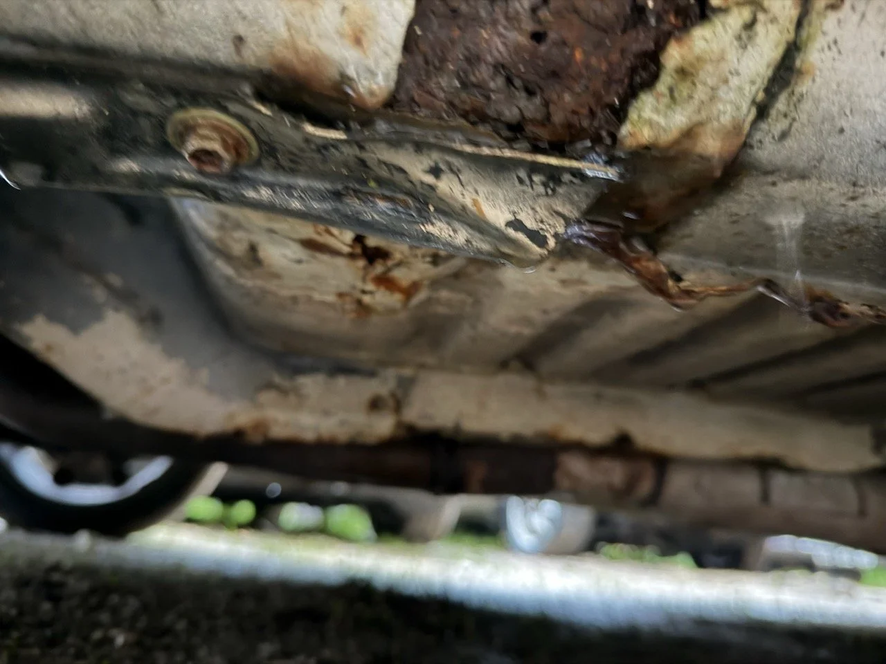 IMG_0205 – grande.jpeg