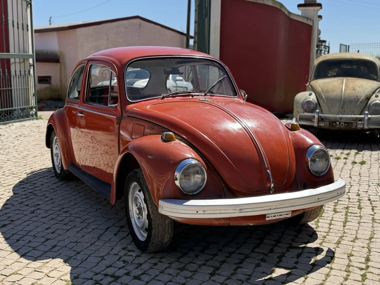 IMG_7509 – grande.jpeg