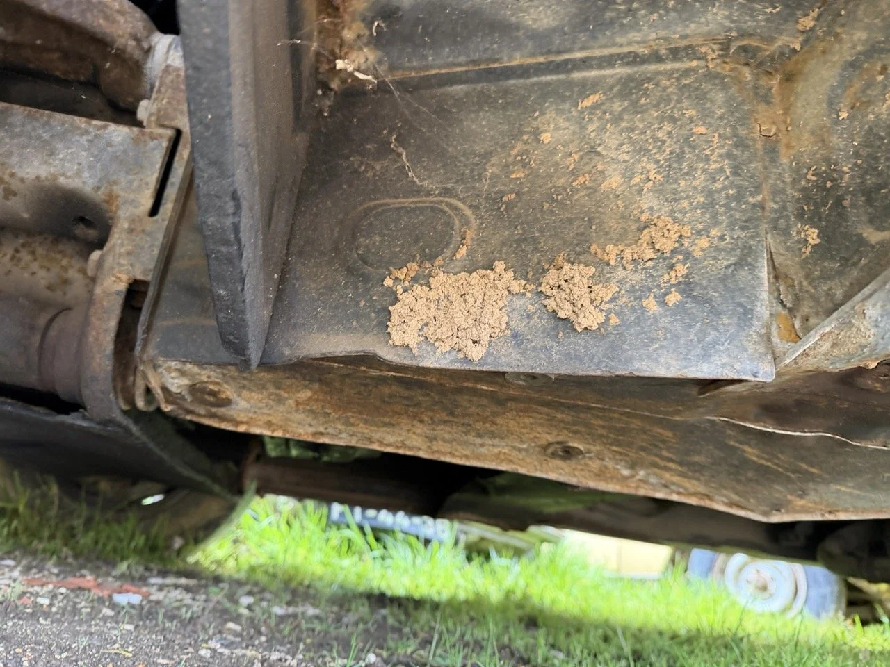 IMG_1355 – grande.jpeg