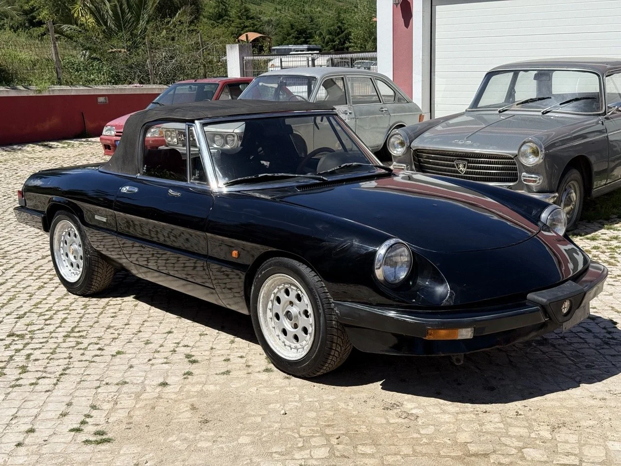 IMG_2130 – grande.jpeg