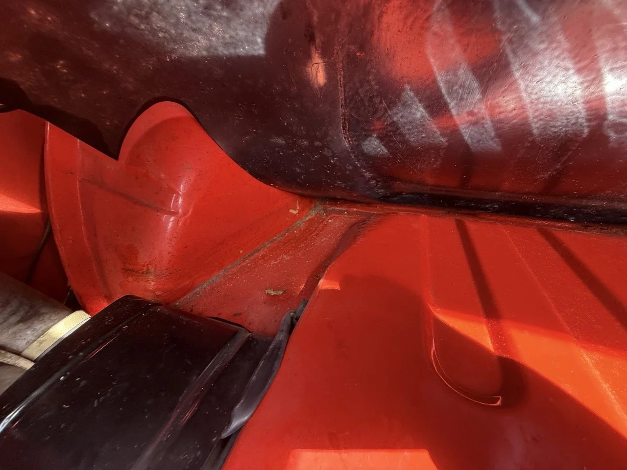 IMG_2312 – grande.jpeg