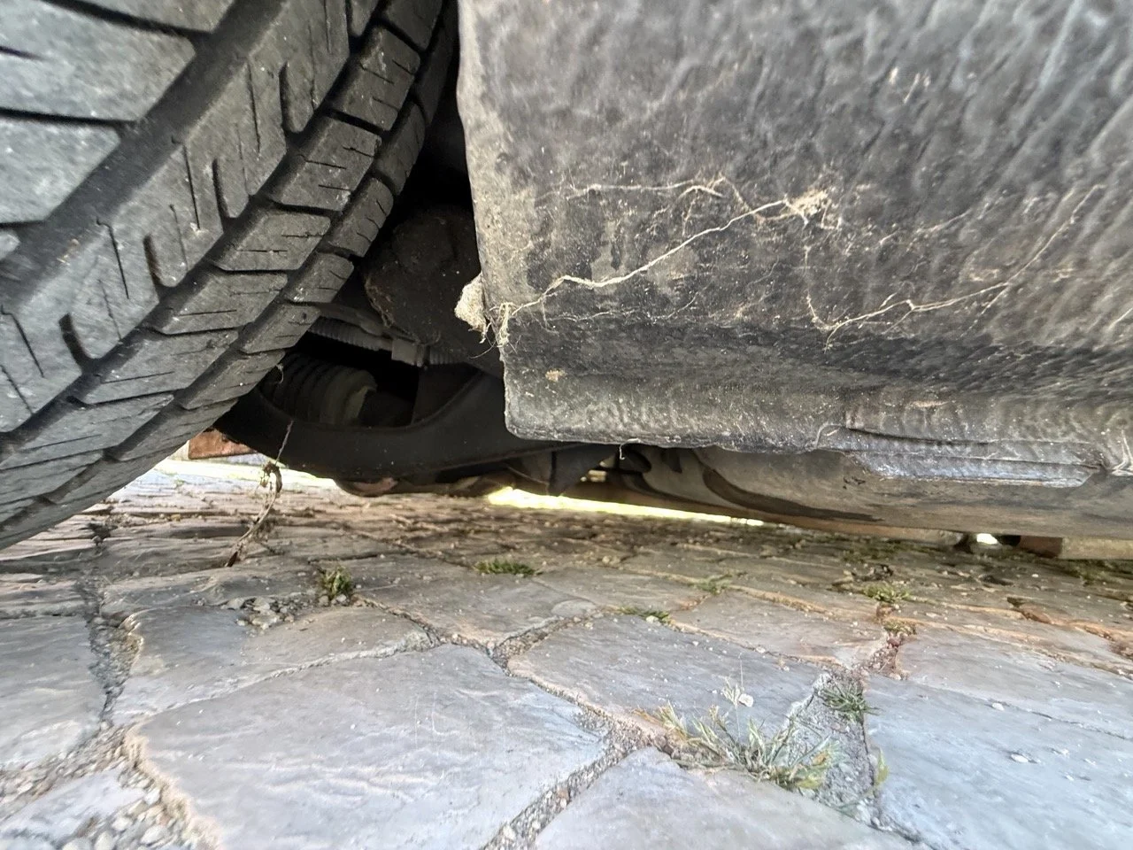 IMG_2630 – grande.jpeg