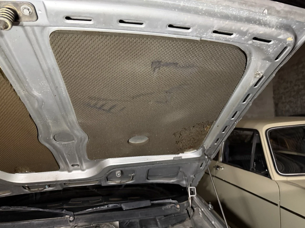 IMG_4822 3 – grande.jpeg