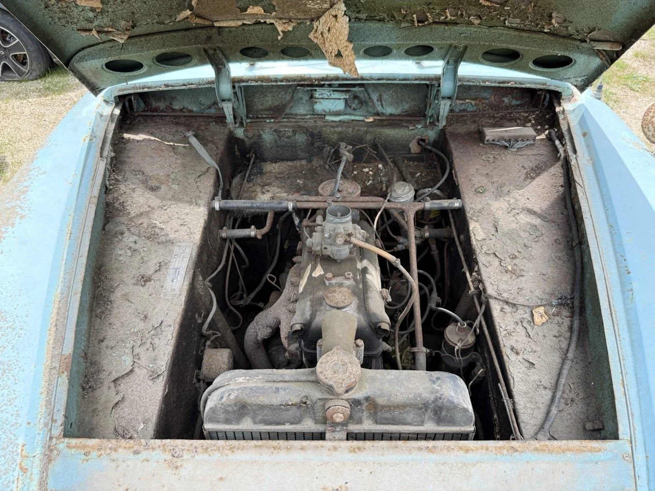 IMG_1378 – grande.jpeg