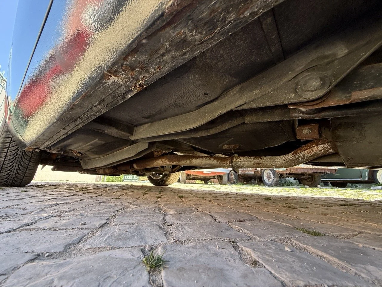 IMG_2242 – grande.jpeg