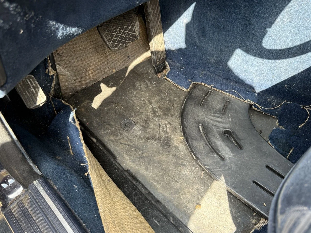 IMG_3426 – grande.jpeg