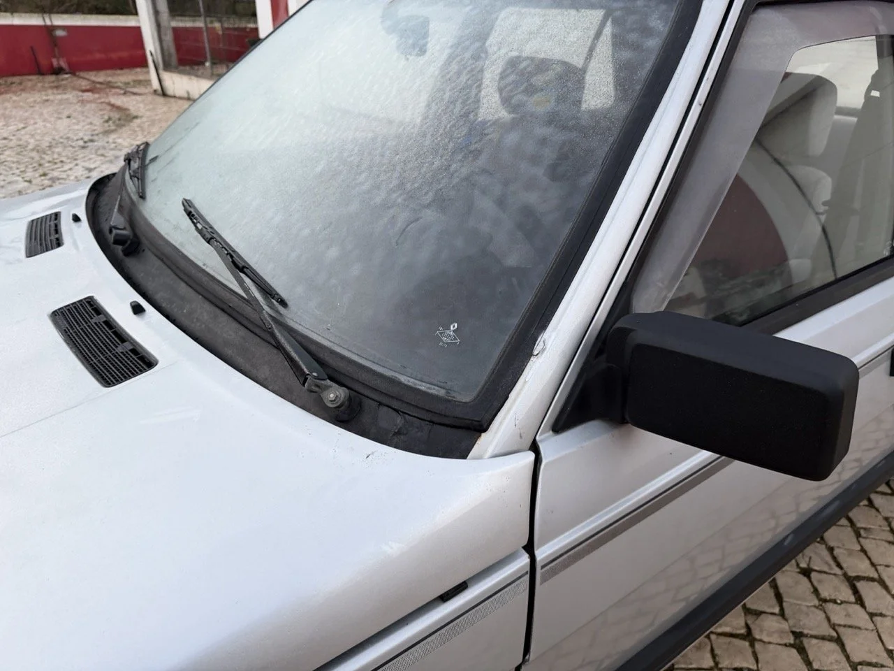 IMG_4748 3 – grande.jpeg