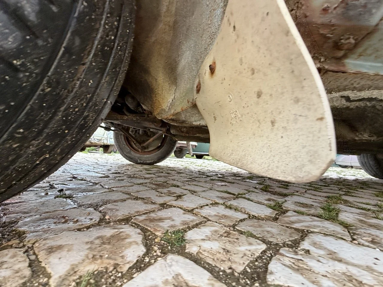 IMG_4873 – grande.jpeg