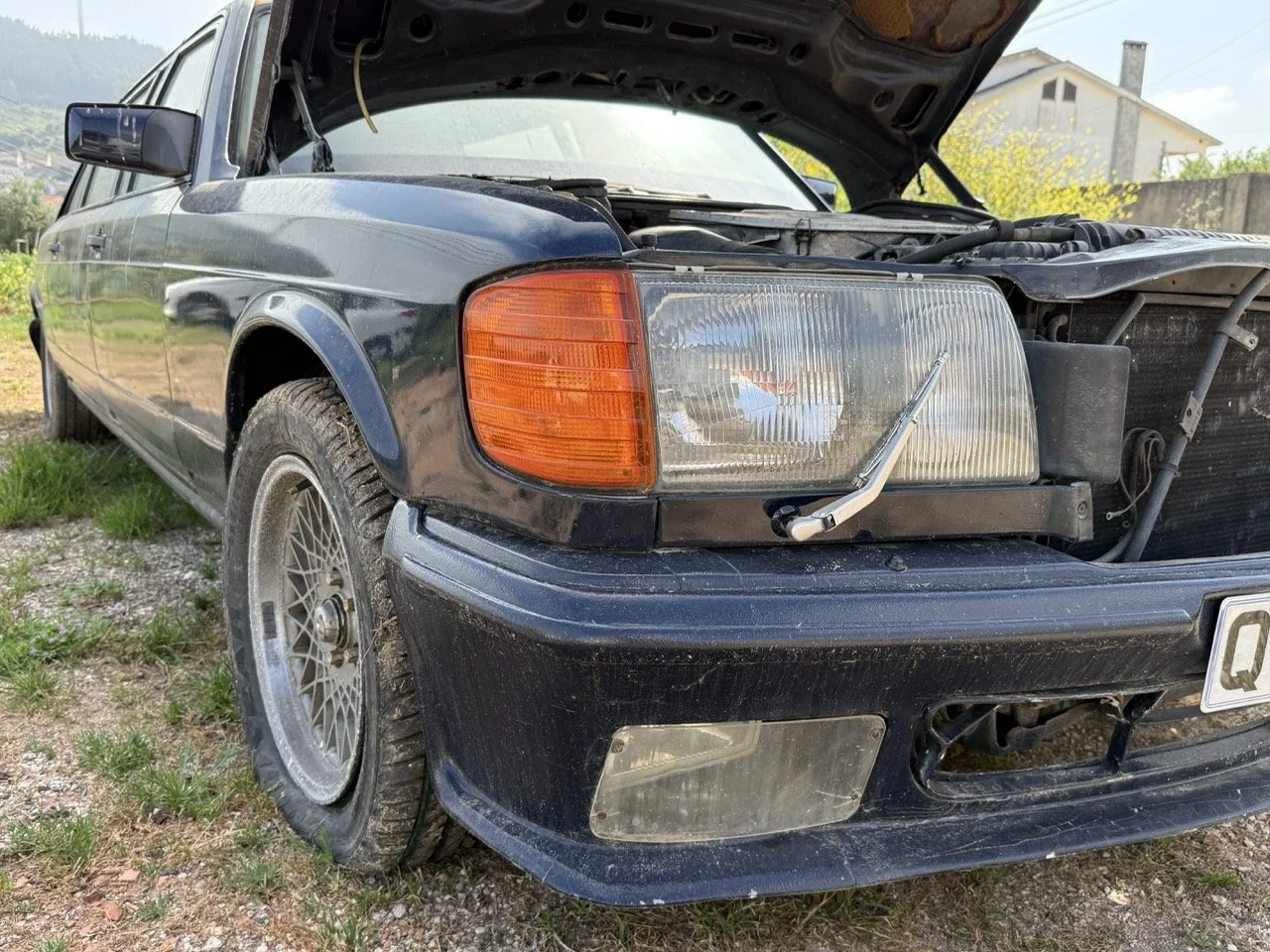 IMG_3422 – grande.jpeg