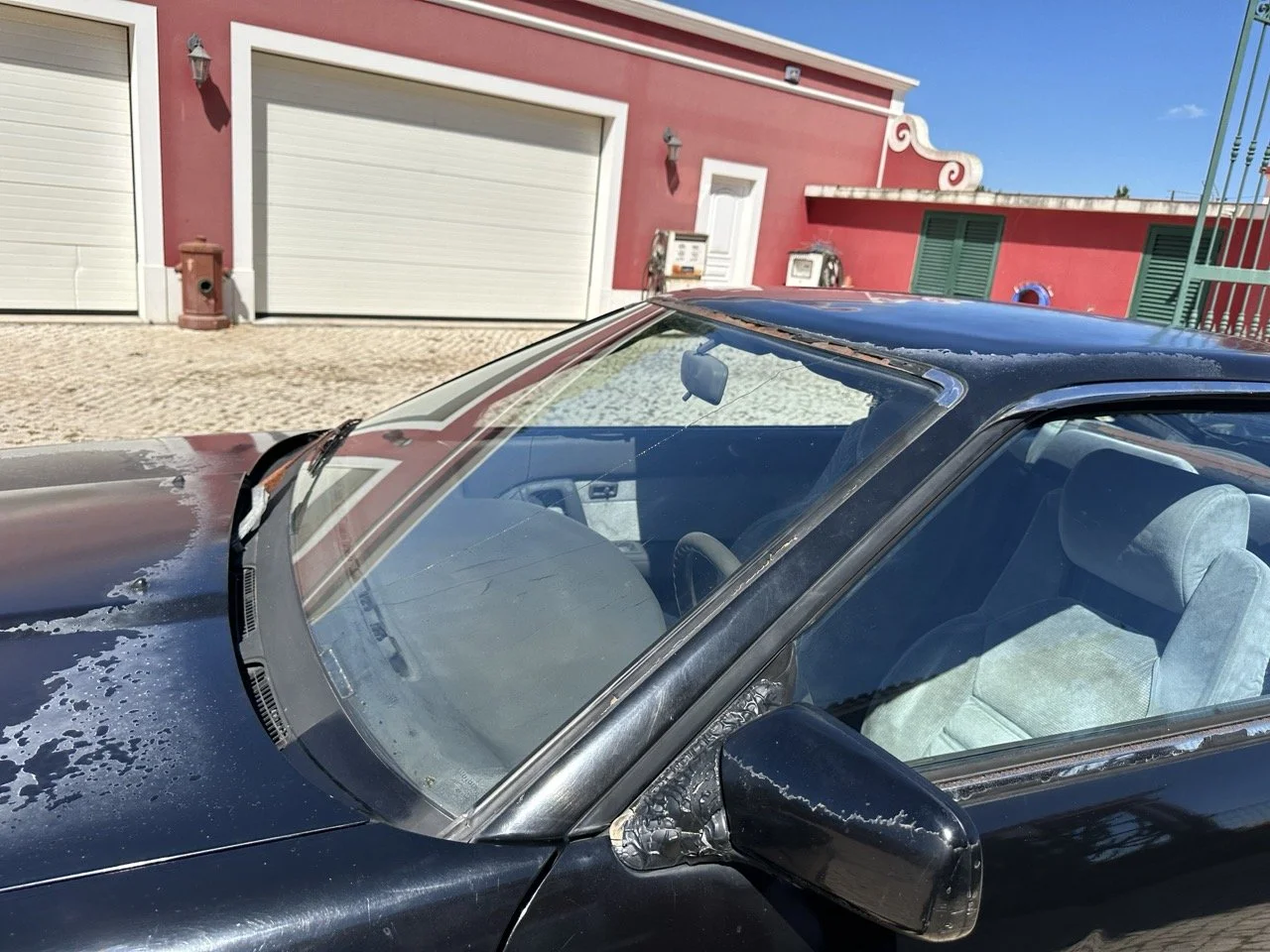 IMG_3115 – grande.jpeg